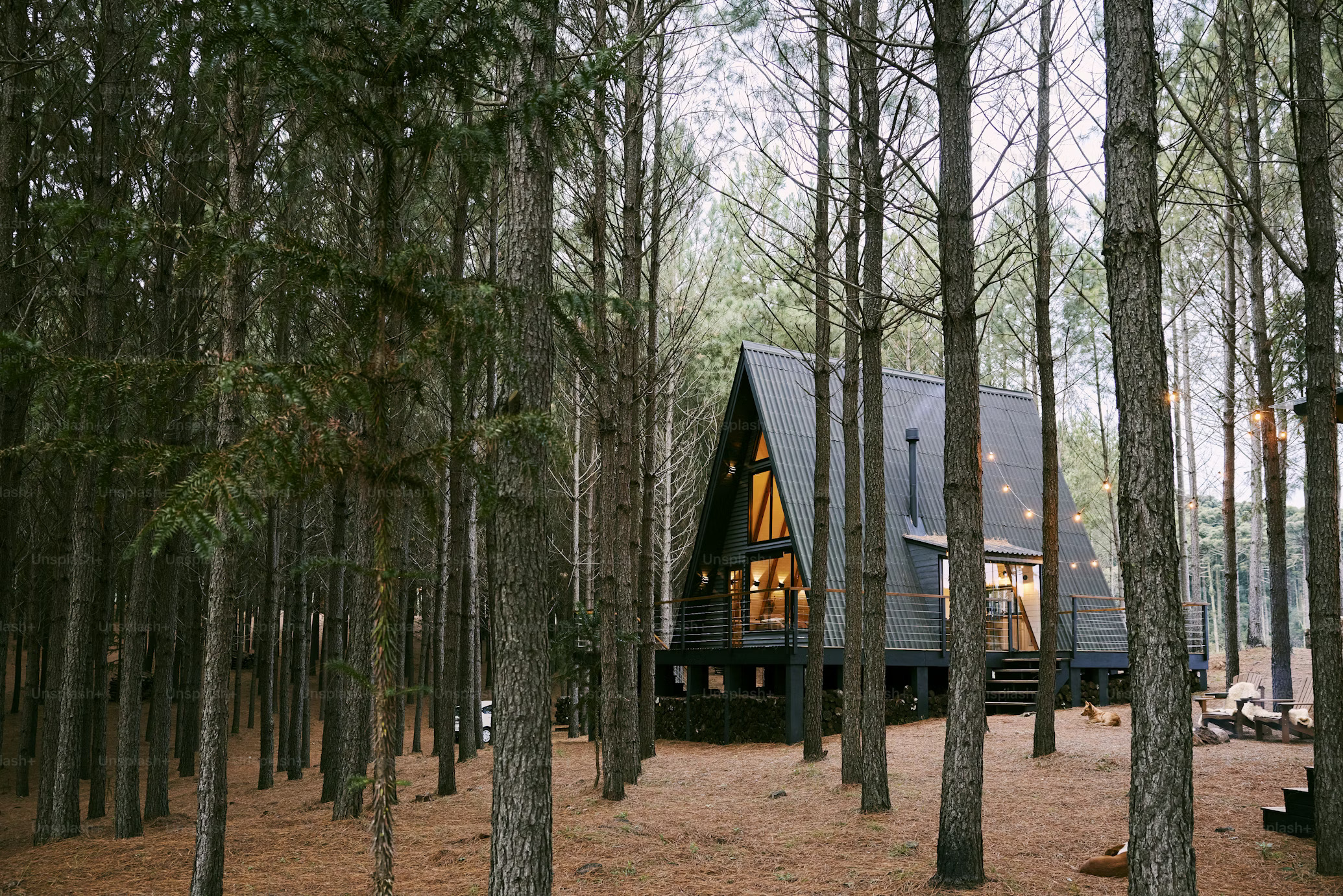 Whispering Pines Cabin